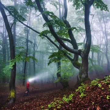 Led Lenser HF8R Core Rechargeable Head Torch 3 Led Lenser HF8R Core Rechargeable Head Torch - Image 3